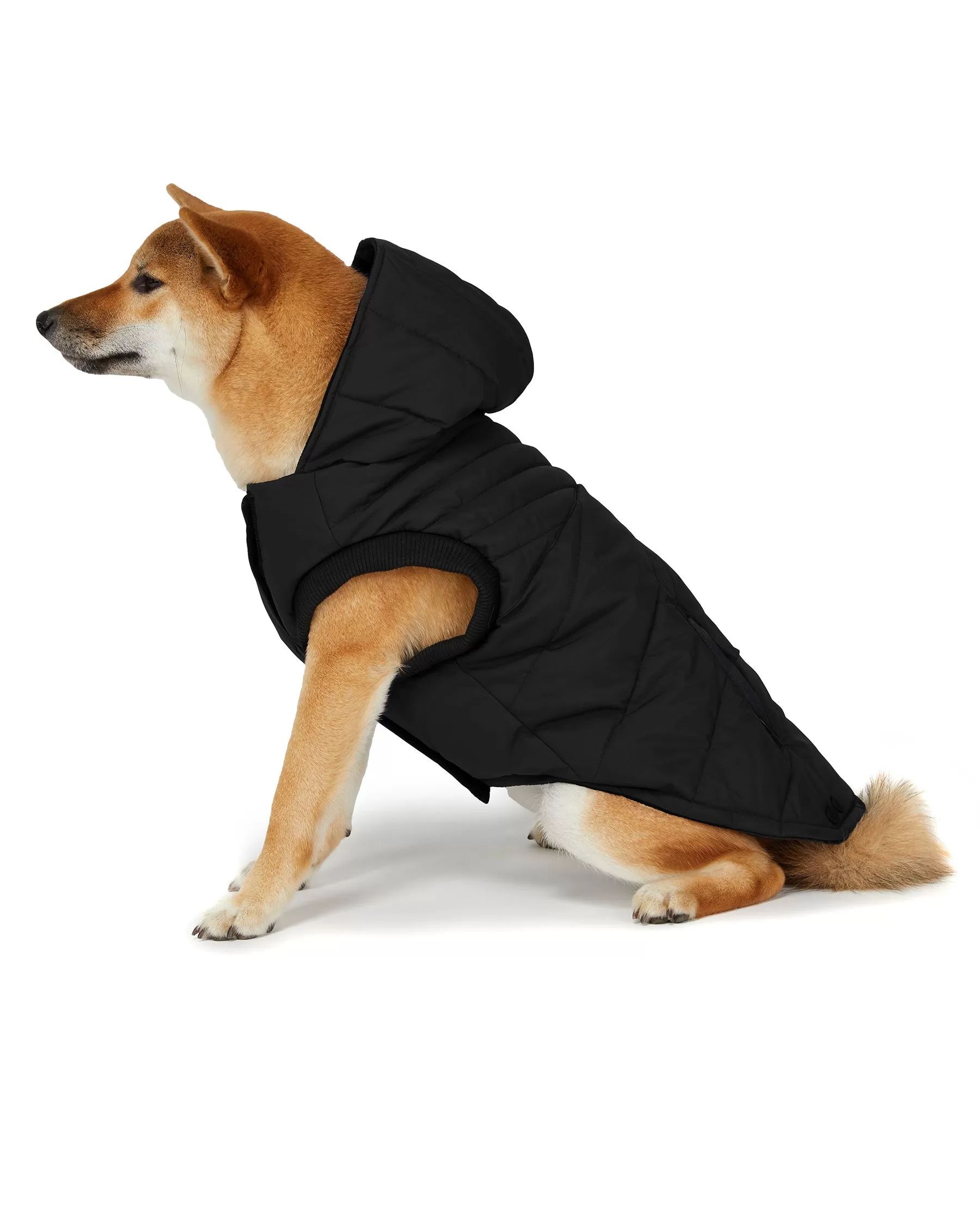 Birch Jacket for Dogs