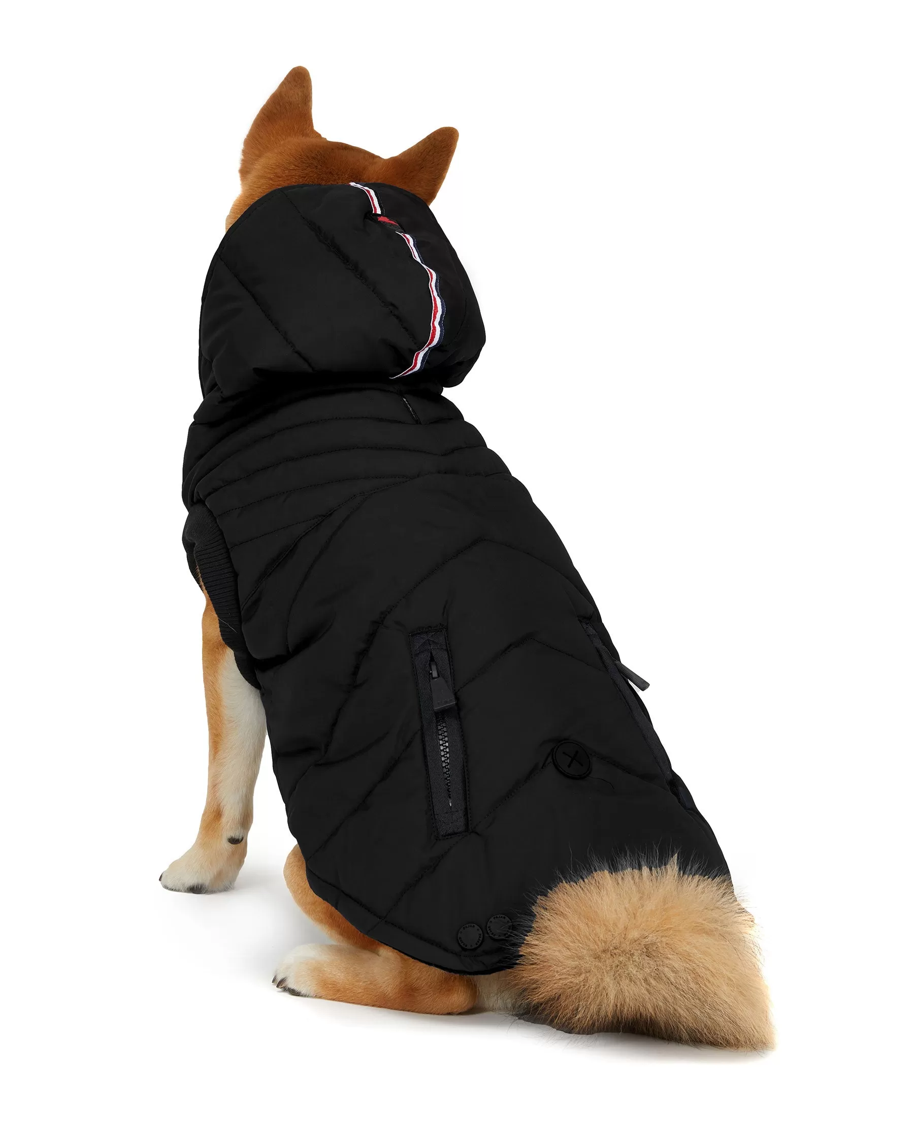 Birch Jacket for Dogs