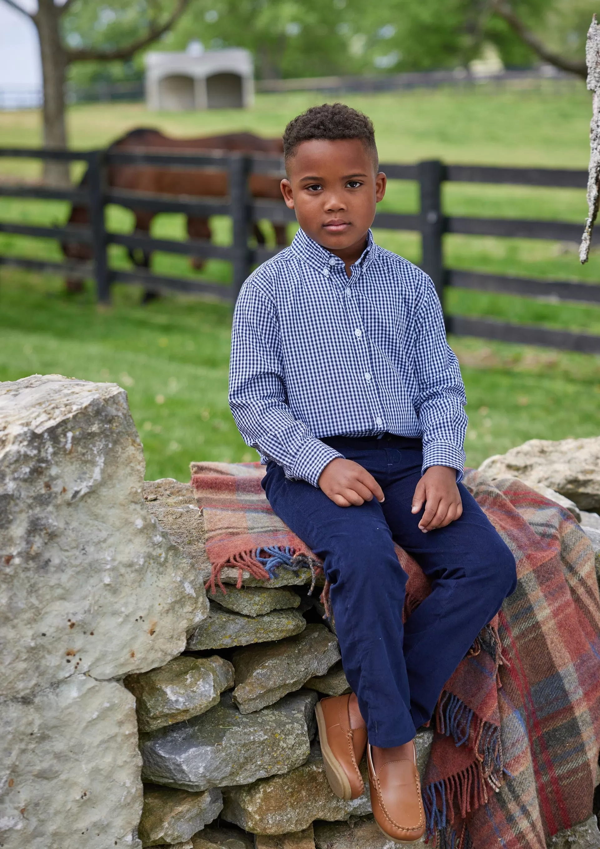 Button Down Shirt - Navy Gingham