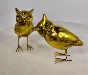 Golden Owl Set